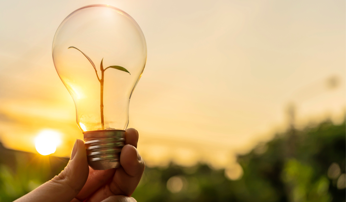 energy efficiency standards