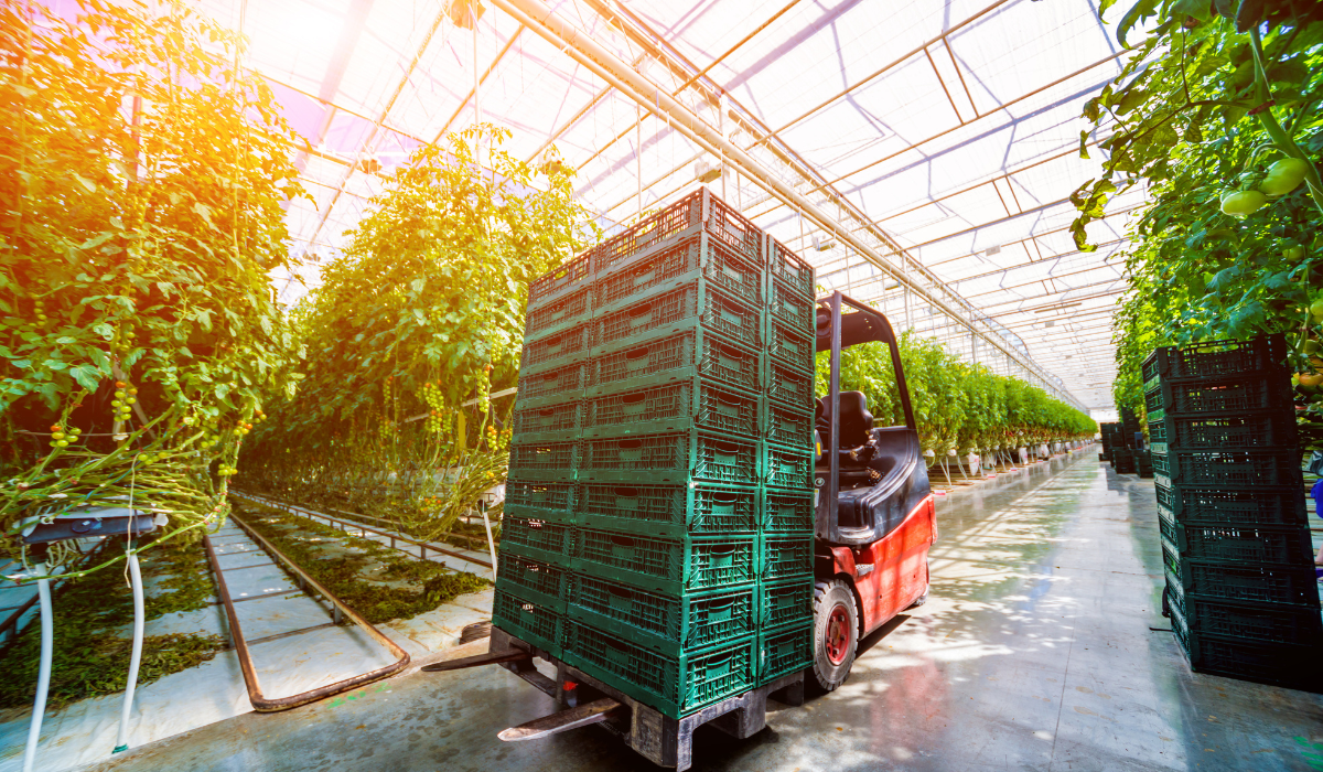 sustainable solution demands